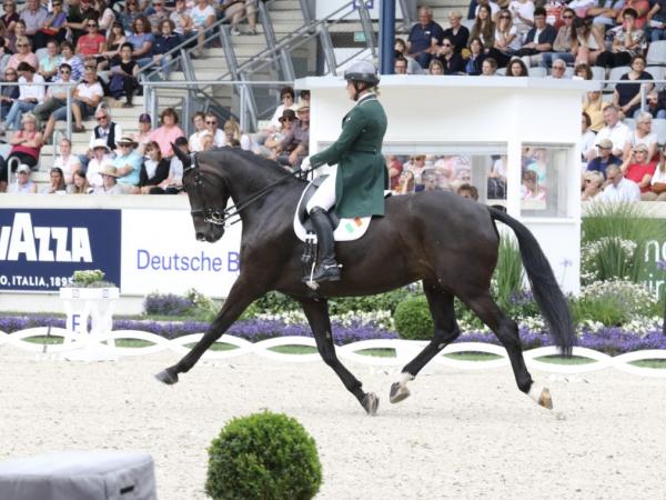 Heike Horse Sport IReland coaching