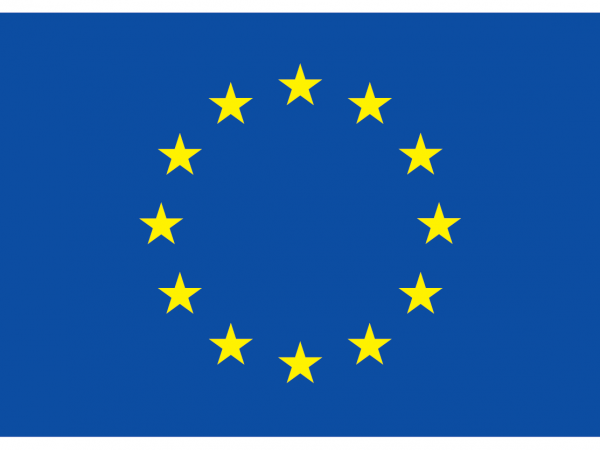 European Flag