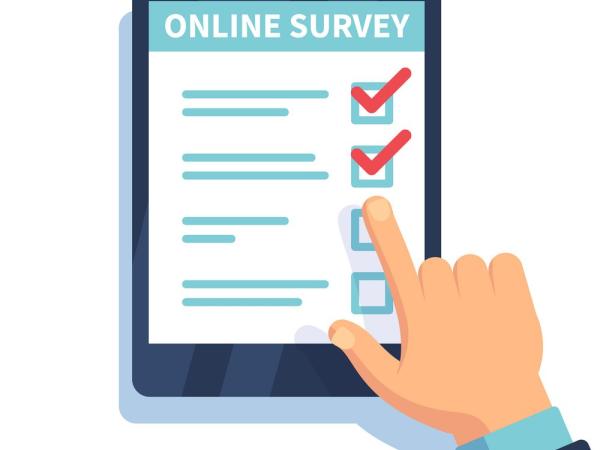 image of an online survey