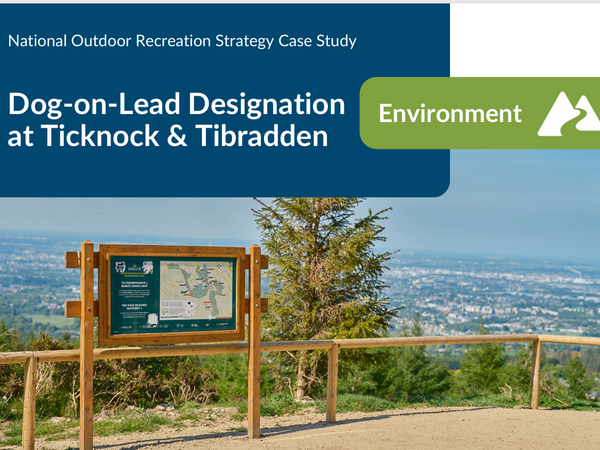 First page of Dog on Lead case study
