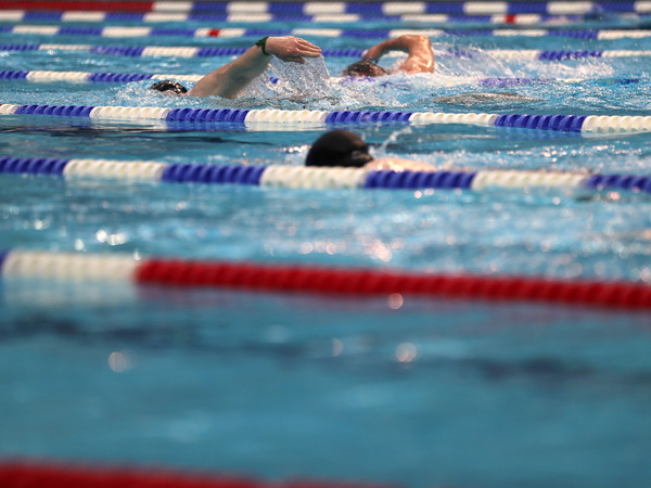 Swimmers in a pool