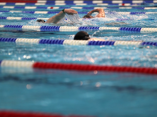 Swimmers in a pool
