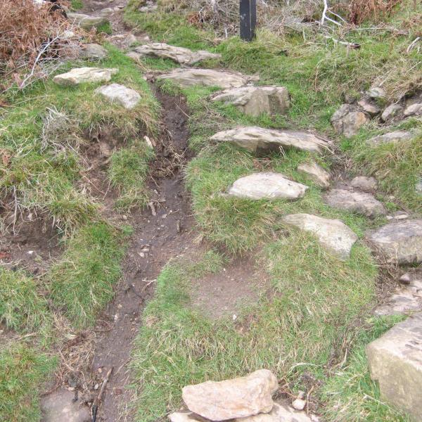 MTB Damage on Walking Trail