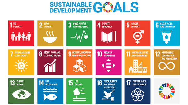UN Sustainability Goals