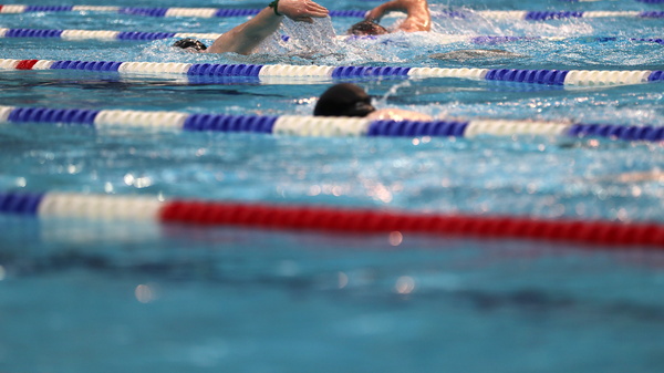 Swimmers in a pool