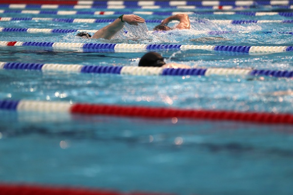 Swimmers in a pool