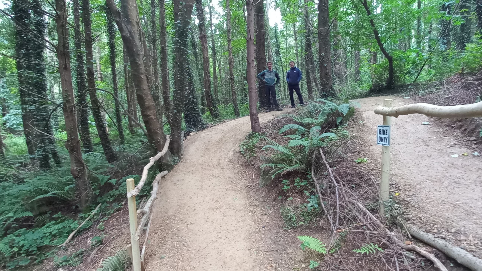 Sweewood MTB Trail - Belmont Demesne 
