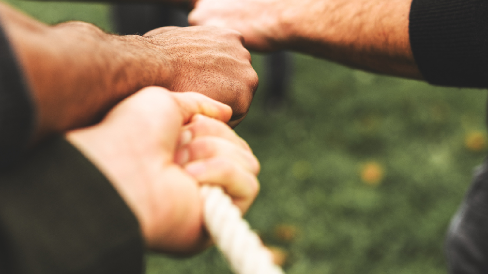 tug of war 