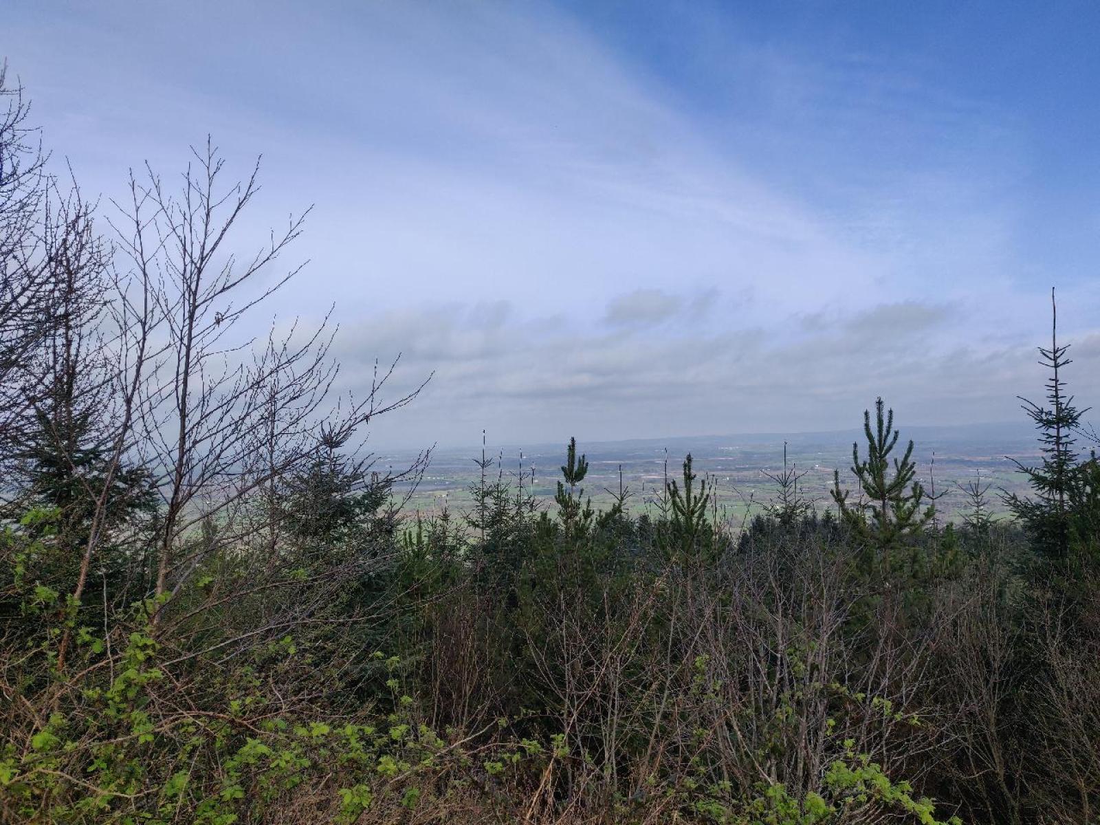 12 O'Clock Hills Looped Walks - Purple Route
